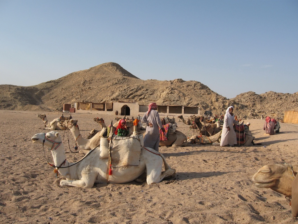 Дальние страны. Степан Купрюшин. Деревня бедуинов  (Тунис)